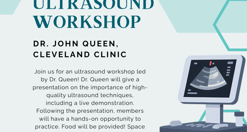 Ultrasound Workshop